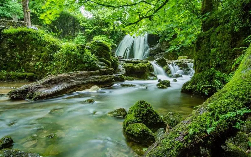 创意独特稳定性